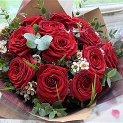 Christmas Red Roses