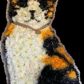 fwthumbCat_Bespoke_Tribute.jpg