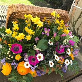 fwthumbSpring_Picnic_basket.jpg