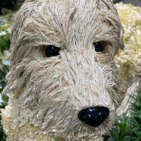 fwthumbfuneral_flowers_oxford_besoke_dog.jpg