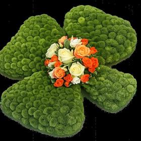 fwthumbfuneral_flowers_oxford_green_shamrock.jpg