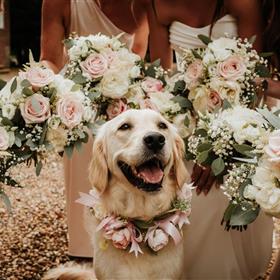fwthumbBride-bridesmaids-bouquets-Ardington-house-Oxfordshire-wedding.jpg