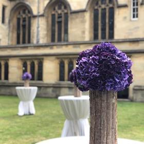 fwthumbReception-table-cebtre-purple-hydrangea-wadham-college-oxford-wedding.jpg